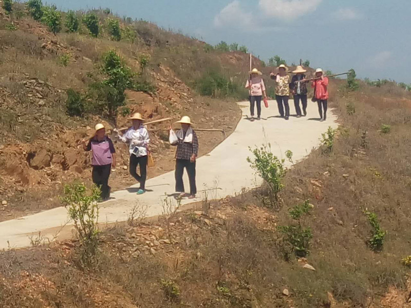 農(nóng)民工達(dá)到除草基地