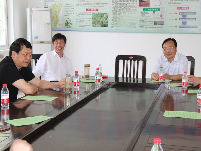 信陽(yáng)市鄭志強(qiáng)市長(zhǎng)一行在金源油茶基地辦公地