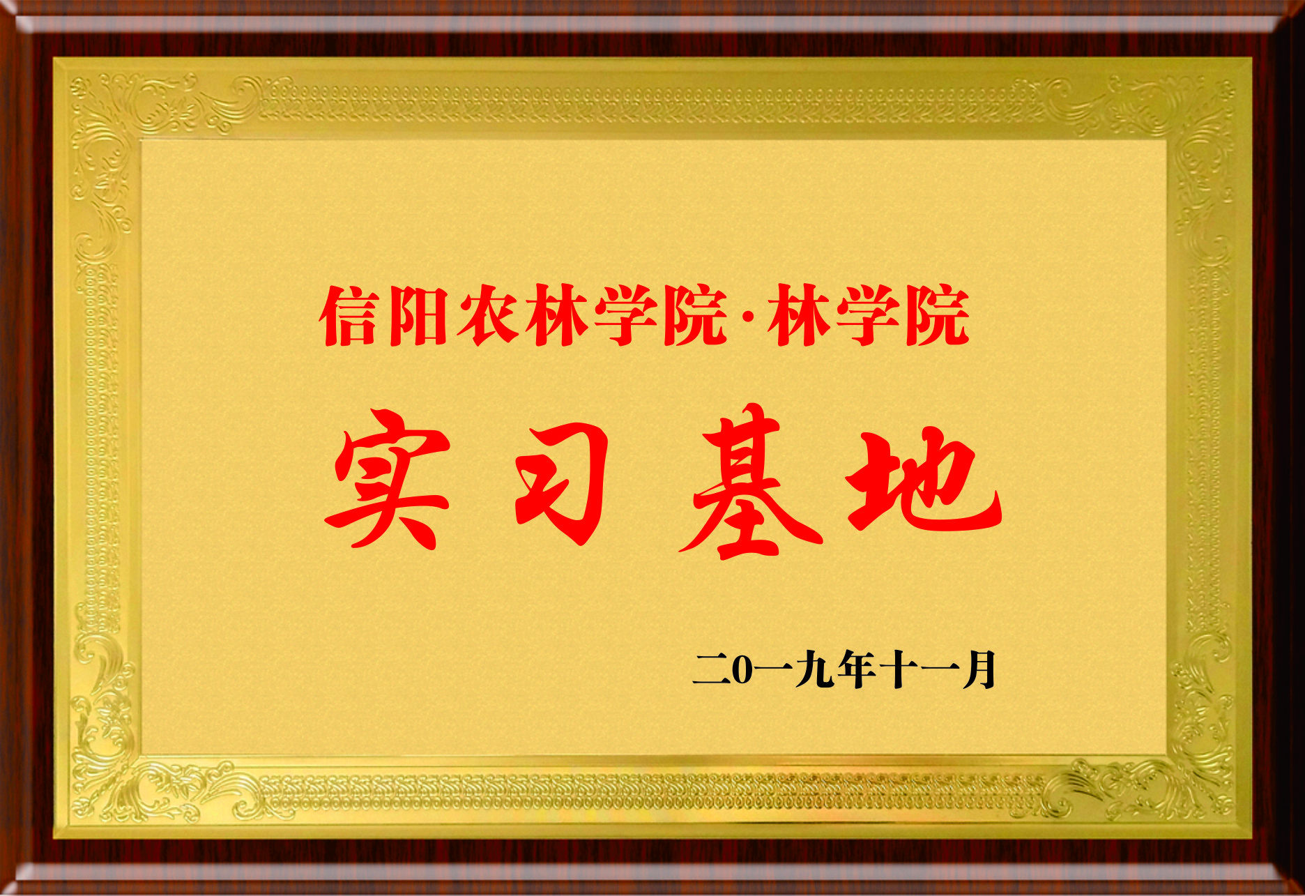 信陽農(nóng)林學院實習基地