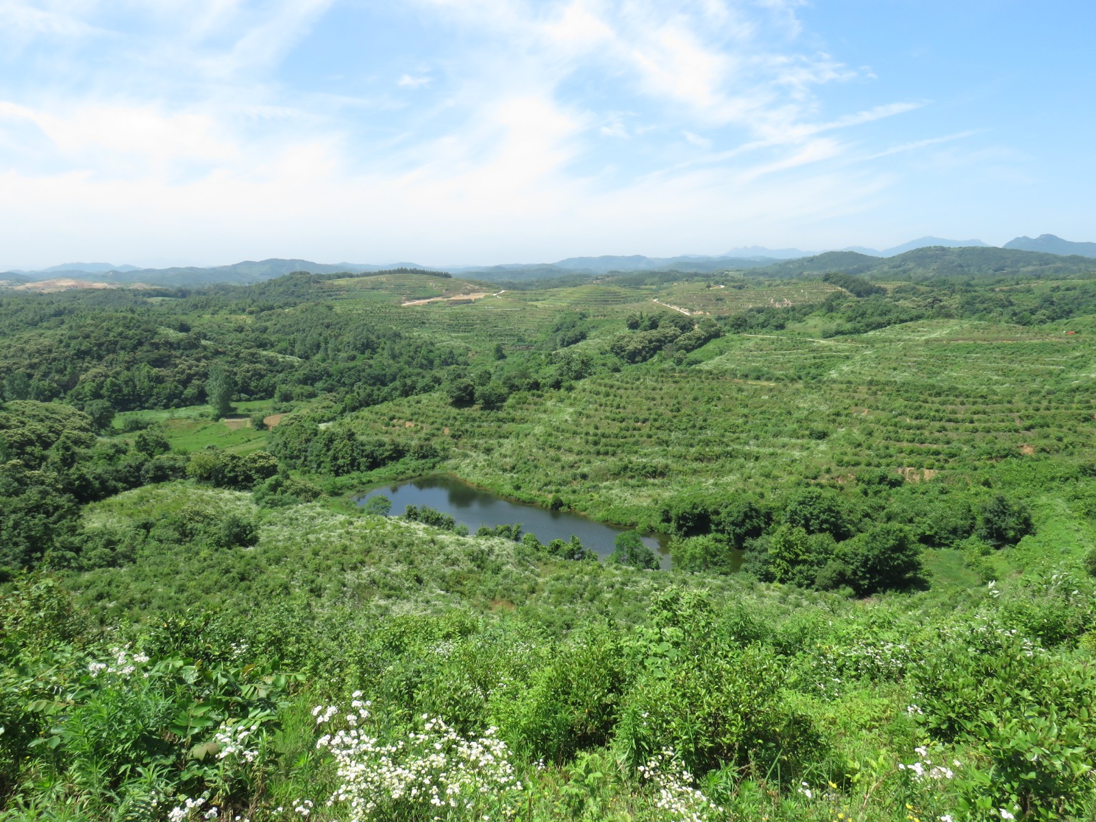基地建設(shè)