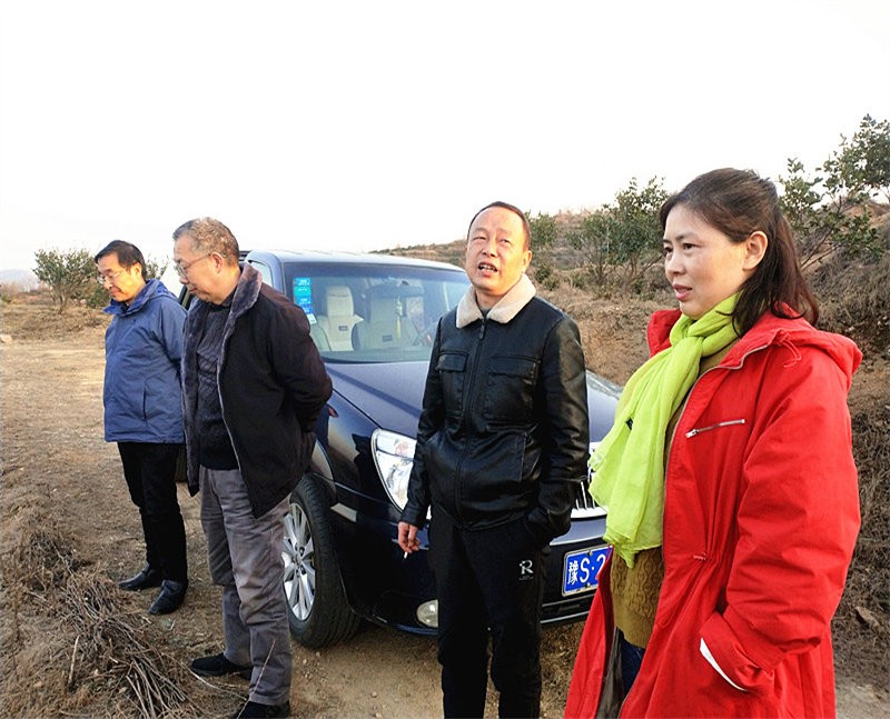 信陽市林茶局副局長閔中華一行到金源油茶基地指導低產林改造