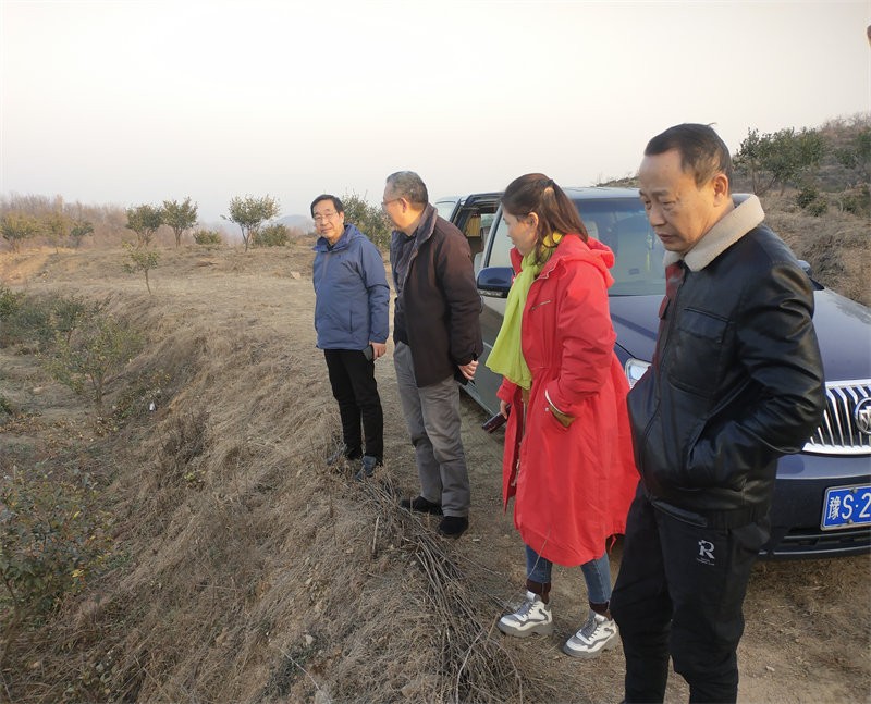 信陽市林茶局副局長閔中華一行到金源油茶基地指導低產林改造