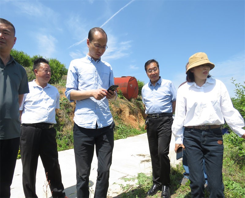 信陽市農業(yè)銀行行長到金源油茶基地視察