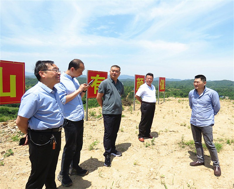 信陽市農業(yè)銀行行長到金源油茶基地視察