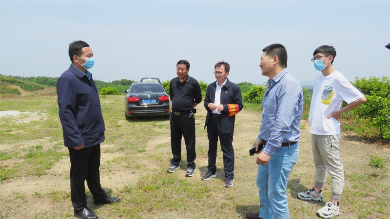 副縣長(zhǎng)王淼舸到金源油茶調(diào)研