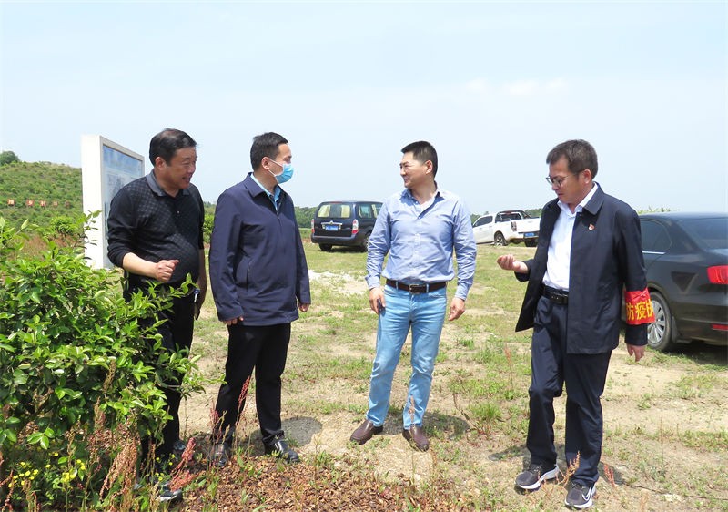 副縣長(zhǎng)王淼舸到金源油茶調(diào)研