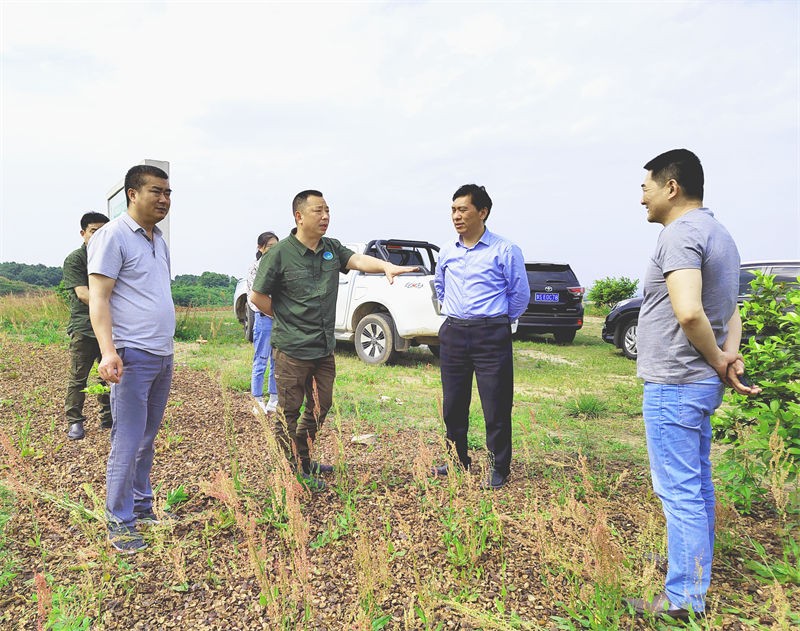 信陽市林茶局局長吳國慶來金源油茶調(diào)研油茶發(fā)展情況