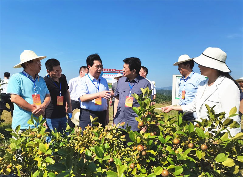 信陽市人大常委會主任謝天學一行到金源調(diào)研油茶產(chǎn)業(yè)發(fā)展情況