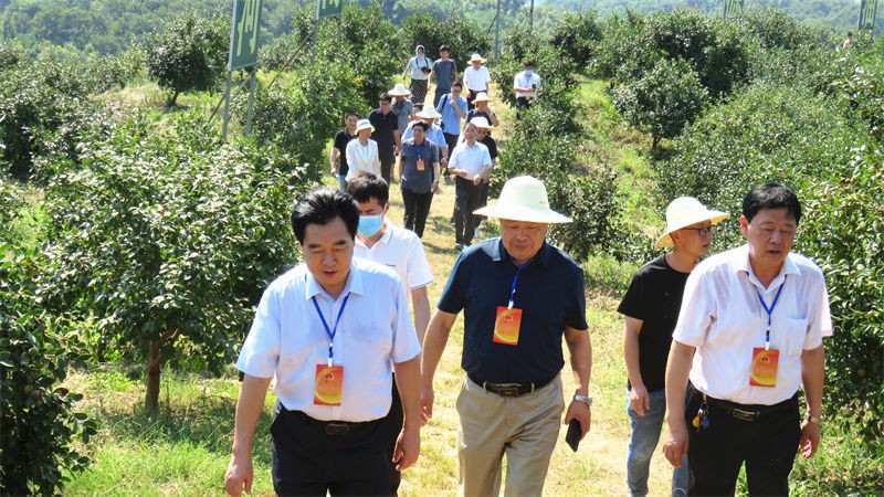 信陽市人大常委會主任謝天學一行到金源調(diào)研油茶產(chǎn)業(yè)發(fā)展情況