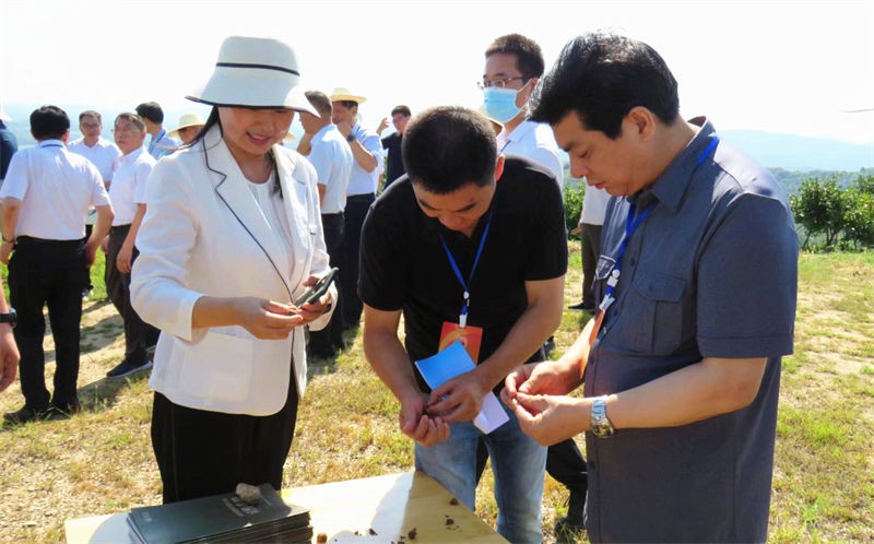 信陽市人大常委會主任謝天學一行到金源調(diào)研油茶產(chǎn)業(yè)發(fā)展情況