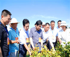 信陽市人大常委會主任謝天學(xué)一行到金源調(diào)研油茶產(chǎn)業(yè)發(fā)展情況