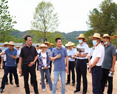 縣委書記周哲帶領(lǐng)全縣重點項目觀摩組到金源加工廠現(xiàn)場視察