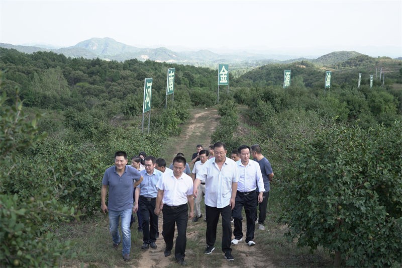 信陽(yáng)市委常委、副市長(zhǎng)李俊一行到金源油茶調(diào)研油茶產(chǎn)業(yè)發(fā)展情況