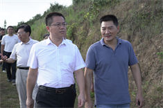 信陽市委常委、副市長李俊一行到金源油茶調(diào)研油茶產(chǎn)業(yè)發(fā)展情況