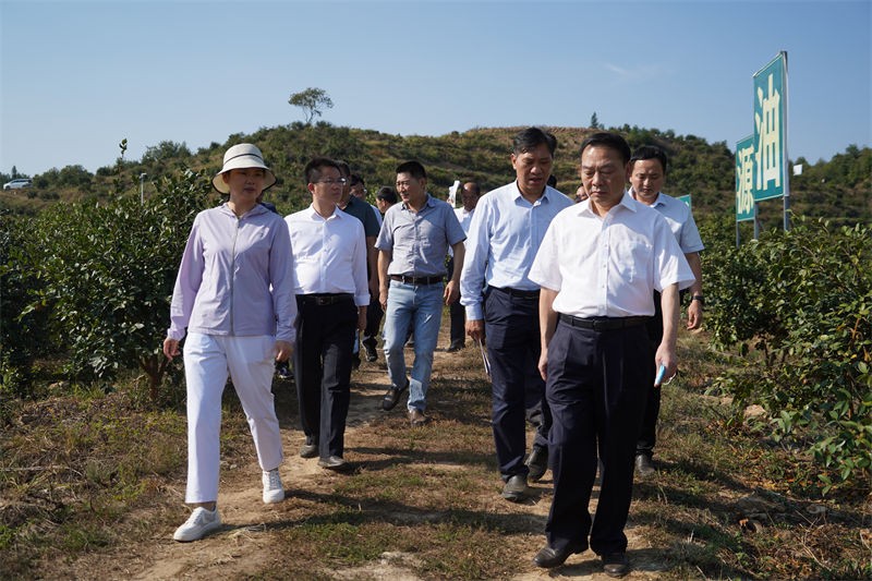 省林業(yè)局局長原永勝一行到金源油茶基地考察