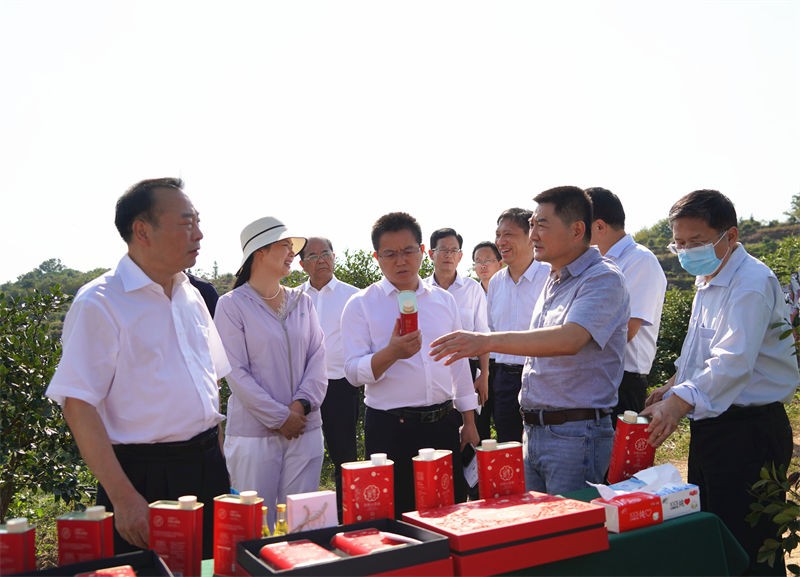 省林業(yè)局局長原永勝一行到金源油茶基地考察
