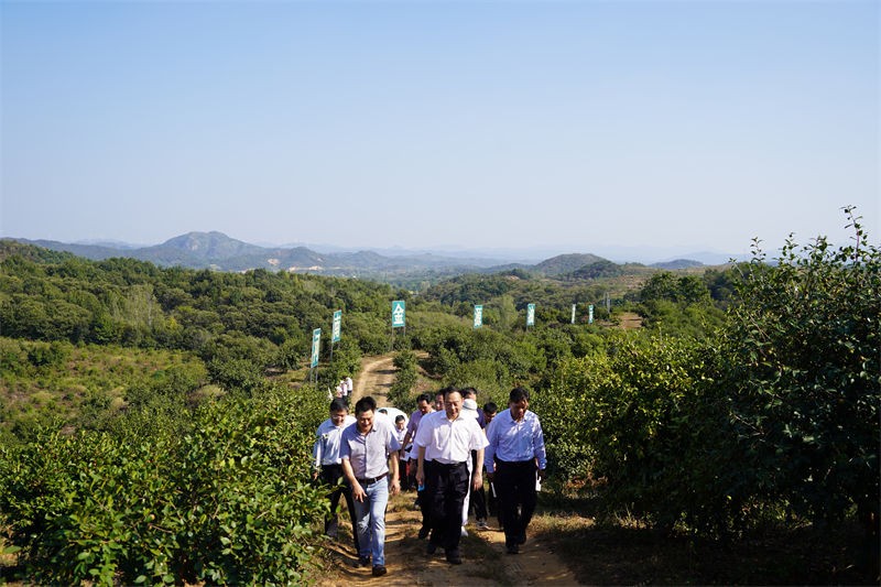 省林業(yè)局局長原永勝一行到金源油茶基地考察