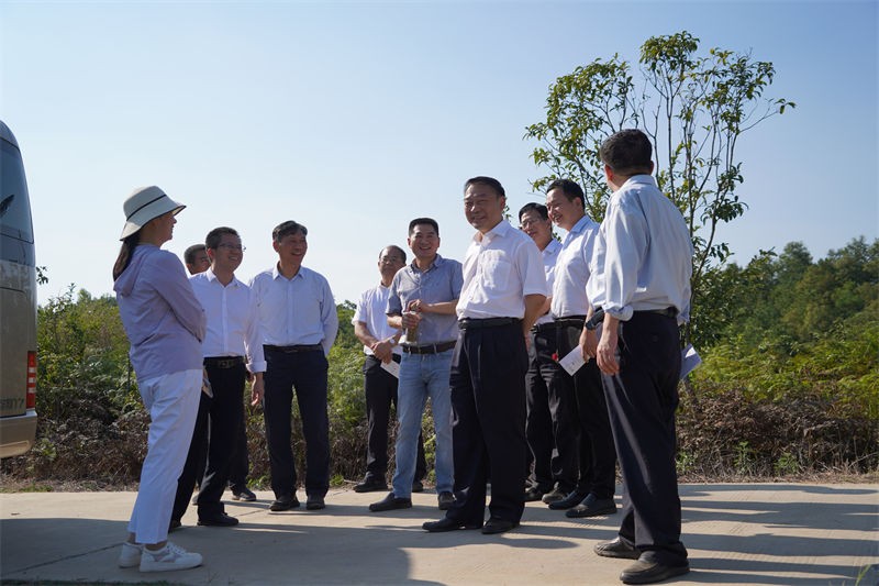省林業(yè)局局長原永勝一行到金源油茶基地考察
