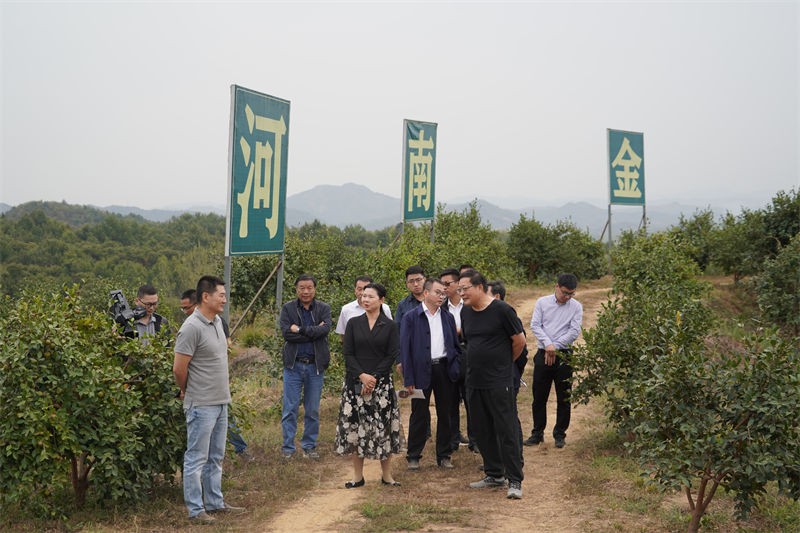 市發(fā)改委黨組書記、主任梁玉峰一行到金源油茶實地調(diào)研
